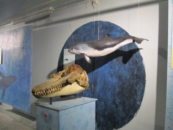 Walmuseum - (USA, Museum, Wale)