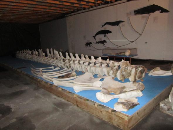 Walmuseum - (USA, Museum, Wale)