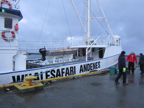 Walsafari Andenes - (Norwegen, Region, Wale)