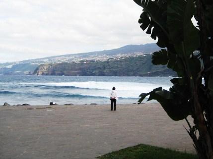 Teneriffa4 - (Kanaren, Familienurlaub, Teneriffa)