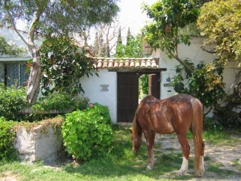 Rancho los Lobos - (Urlaub, reiten, Reiterhof)