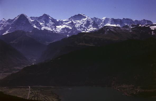 auf dem Niederhorn - (Wandern, Gletscher, Ausflugsziele)
