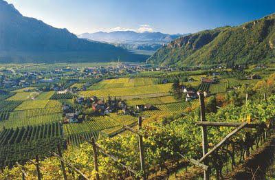 Wein Südtirol - (Europa, Reiseziel, Einreise)
