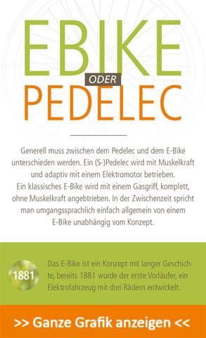 Infografik E-Bikes Teaser - (Deutschland, Europa, Fahrrad)