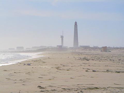 Strand Culatra - (Insel, Empfehlung, Portugal)