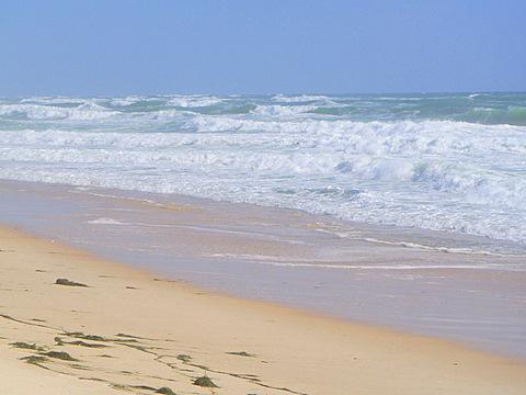 Strand Ilha Culatra - (Insel, Empfehlung, Portugal)
