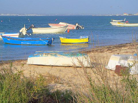 Lagunenseite der Insel - (Insel, Empfehlung, Portugal)