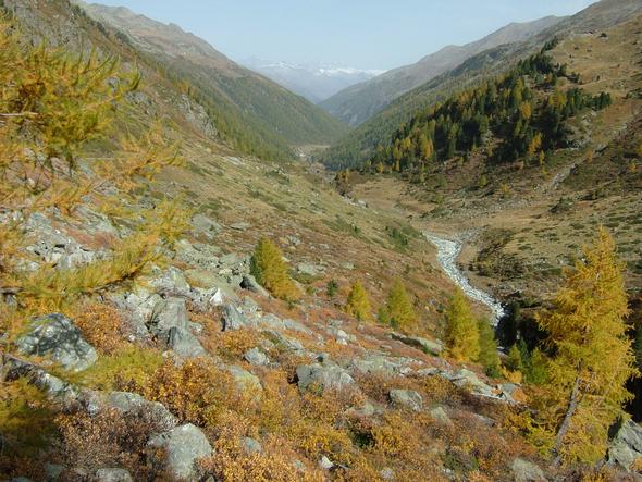 Turtmanntal - (Natur, Berge, alleine)
