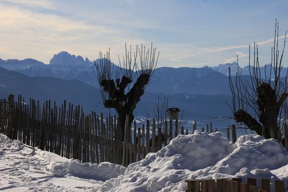 Aussicht vom Walderhof, wo wir im letzten Jahr untergebracht waren. - (Winter, Sport, Ski)