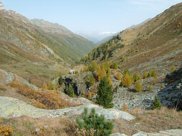 Turtmanntal im Herbst - (Reise, Urlaub, Wandern)