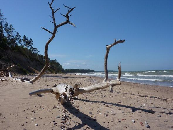 ostseestrand bei jurkalne - (Radtour, Baltikum, Bustransport)