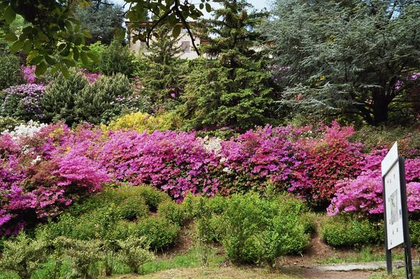 Parco San Grato - (Reise, Senioren, Oma)