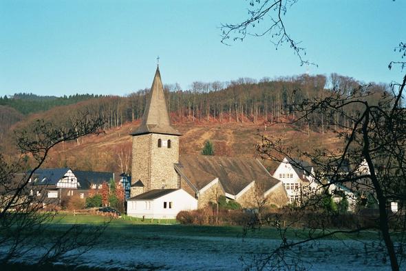 Wenholthausen - (Tiere, Haustiere)