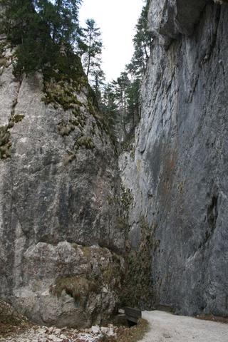Zarneti - (Fliegen, Rumänien)