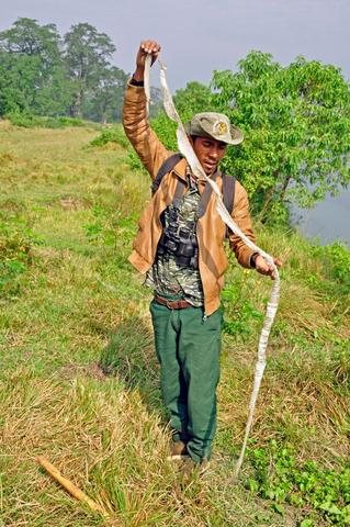 Im Chitwan Nationalpark, zu Fuß unterwegs - (Tiere, Safari, Kontinent)