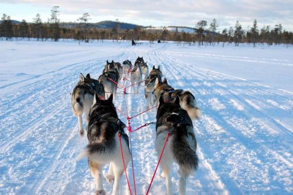 Arvidsjaur / Schweden - (Schweden, Kiruna)