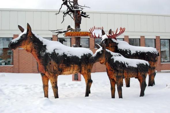 Arvidsjaur / Schweden - (Schweden, Kiruna)