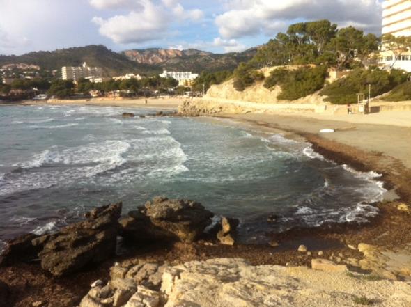 Paguera - (Laos, Cala Ratjada, Alcudia)