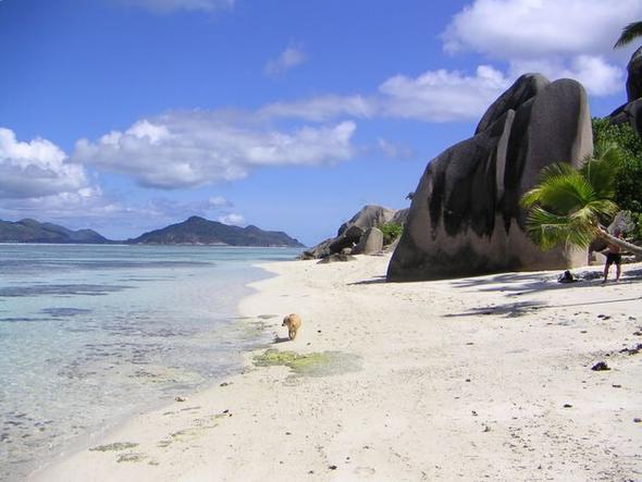 Bild 6 - (Urlaub, Strand, Strandurlaub)