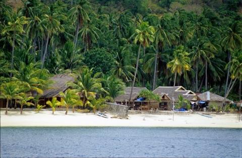 Siquijor, Beach near Coco Grove - (Reise, Insel, Preis)