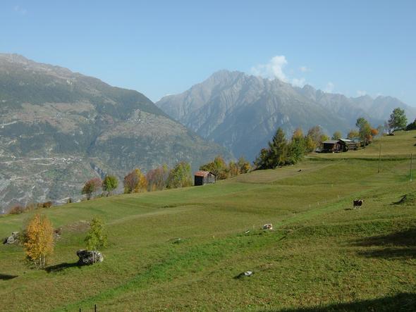 Oberems - (Ferienhaus, Urlaubstipps)