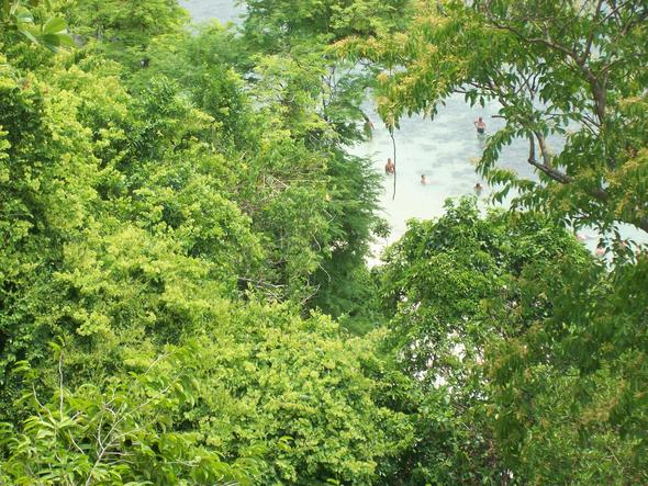 - (Thailand, Tour, Ferien)