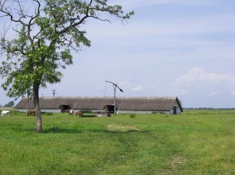 flach und schön-die Puszta - (Planung, Fahrrad Reise, Ukraine Anreise)