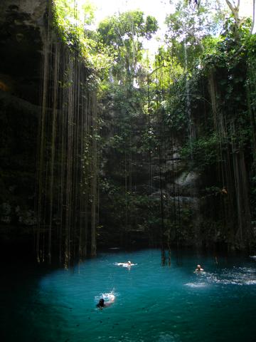 Schwimmen in einem Cenote - (Urlaub, Sehenswürdigkeiten, Insel)