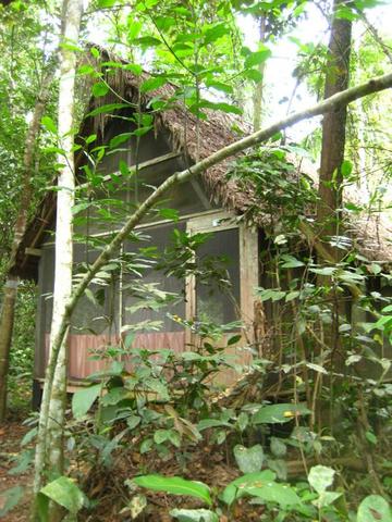 Die Cabanas mitten im Dschungel - (Brasilien, Bolivien, Kolumbien)