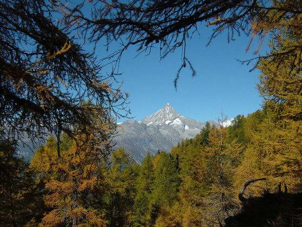 Bietschhorn - (Hotel am See, kinderfreundliches Hotel, Wellness am See)
