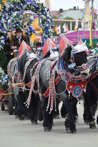 Trachtenumzug Oktoberfest - (Bayern, München, Oktoberfest)