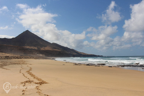  - (Strand, Natur, Fuerteventura)