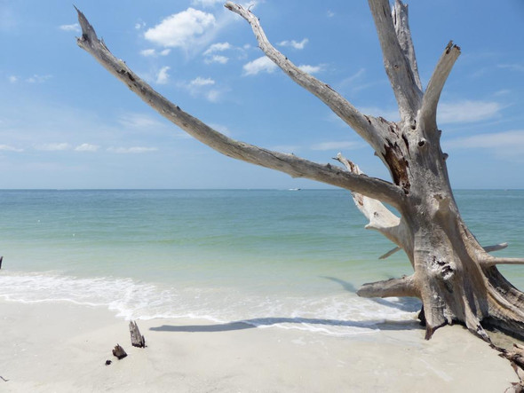 Lovers Key State Park - (Rundreise, Florida, Urlaubstipps)
