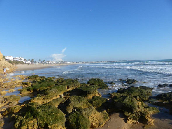 Strand bei Ferienhaus bei Conil Andalusien - (Europa, Reiseziel, günstig)