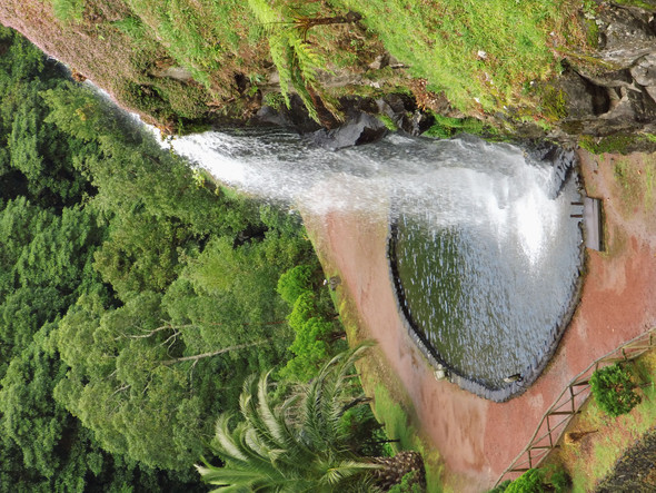 Azoren 2 - (Portugal, Azoren, Sao Miguel)