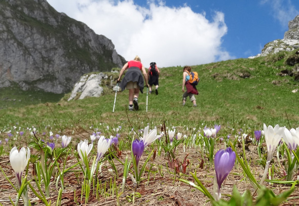Wandern in der Nähe des Campingplatzes - (Frankreich, Schweiz, Campingplatz)