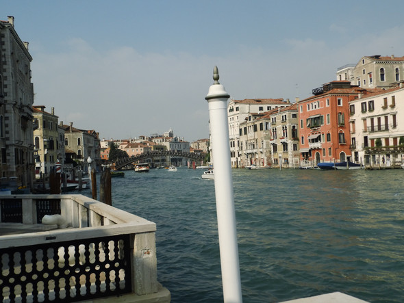 CG - (Venedig und Tauben, Phobie)