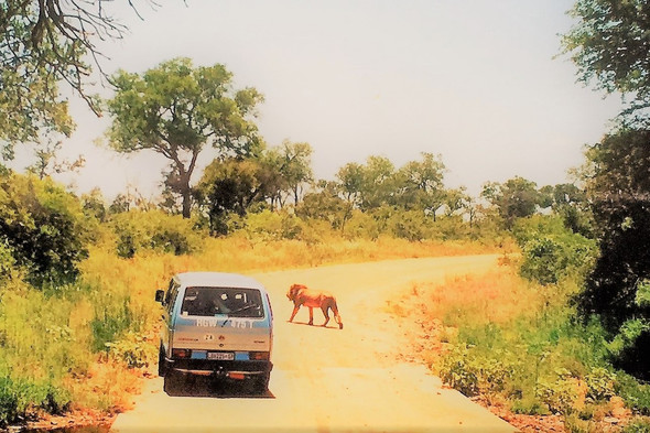 - (Suedafrika, Nationalpark)