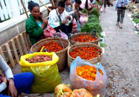 - (Vietnam, Kambodscha, Laos)
