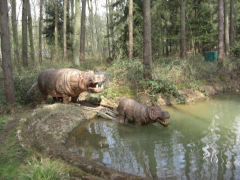- (Deutschland, Serengeti, Safaripark)