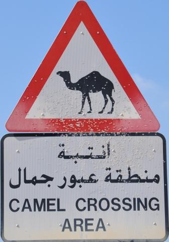 www.premierhotelsdubai.com - (Hotel, Dubai, Vereinigte Arabische Emirate)