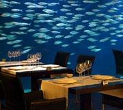 - (Europa, Restaurant, Unterwasser)