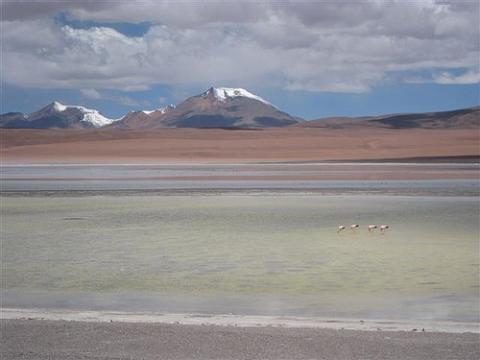 Der Weg von Bolivien nach Chile vom Salar - (Reise, Südamerika, Argentinien)