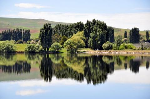 Am Meadowbank Lake - (Reise, Australien, Tasmanien)