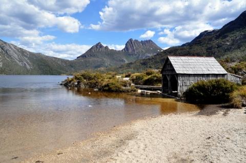 Im Cradle Mountain Nationalpark - (Reise, Australien, Tasmanien)