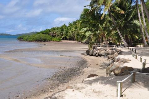 - (Insel, Tour, Fiji)