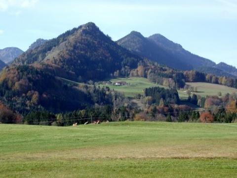 - (Deutschland, Europa, Herbst)