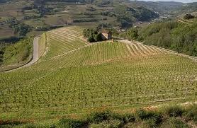 - (Italien, Gesundheit, Region)