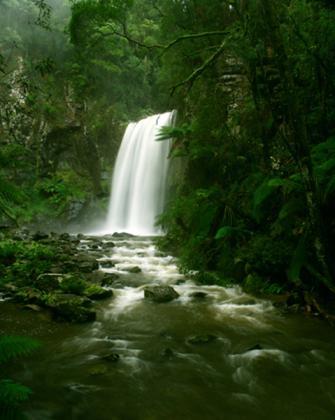 Otway NP - (Australien, Ostküste, Reisedauer)