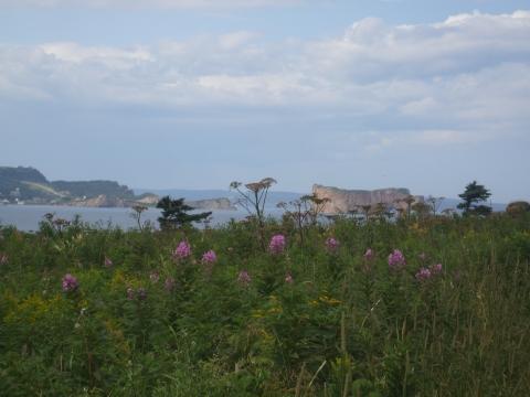 Perce - (Rundreise, Kanada, Nationalpark)